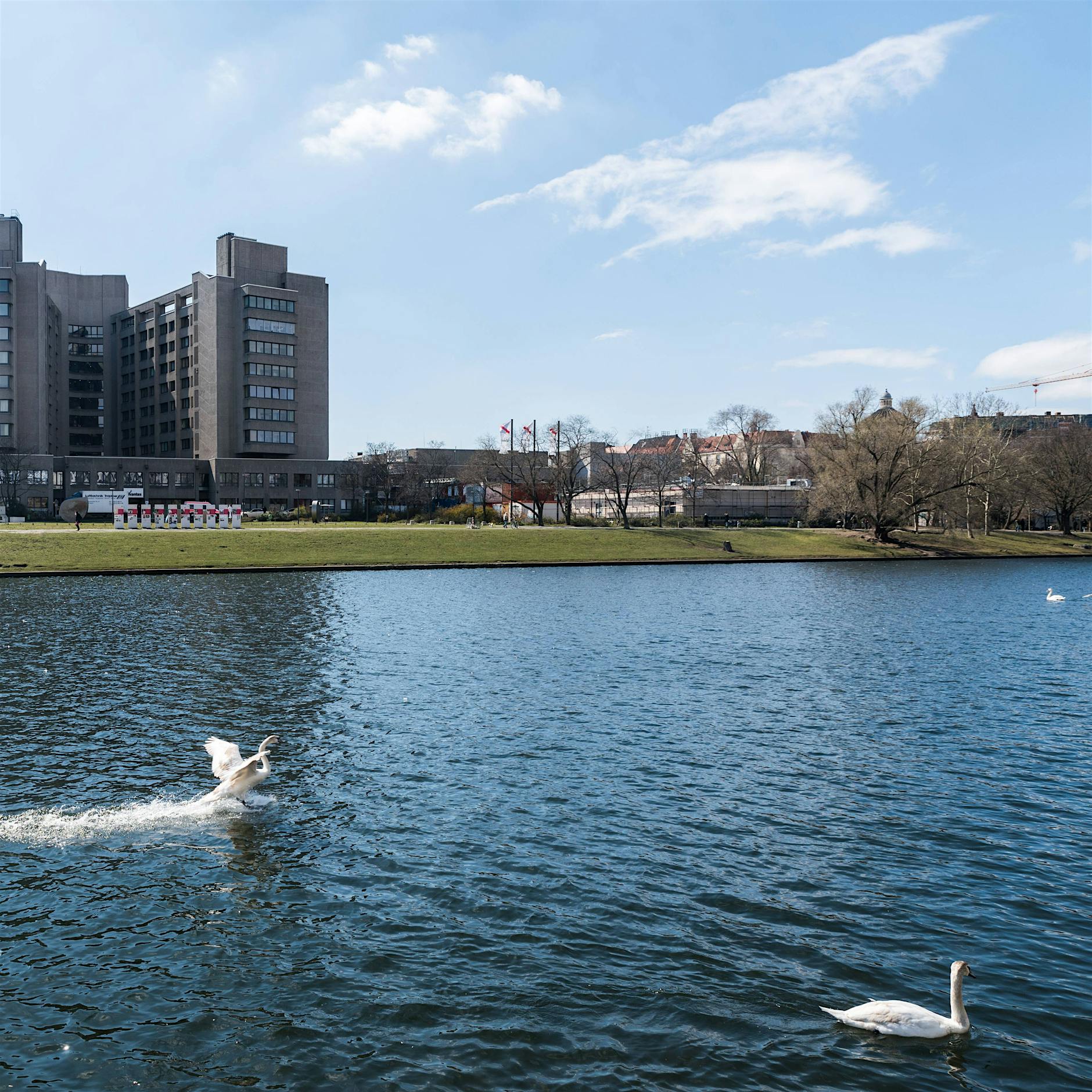 Unbefleckte Empfängnis im Urban-Krankenhaus