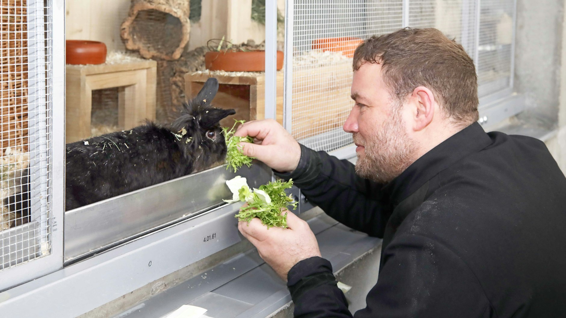 Nicht nur schwarze Hunde und Katzen warten im Tierheim auf ein neues Zuhause – auch dieses schwarze Kaninchen. Schornsteinfeger Alain Rappsilber füttert liebevoll.