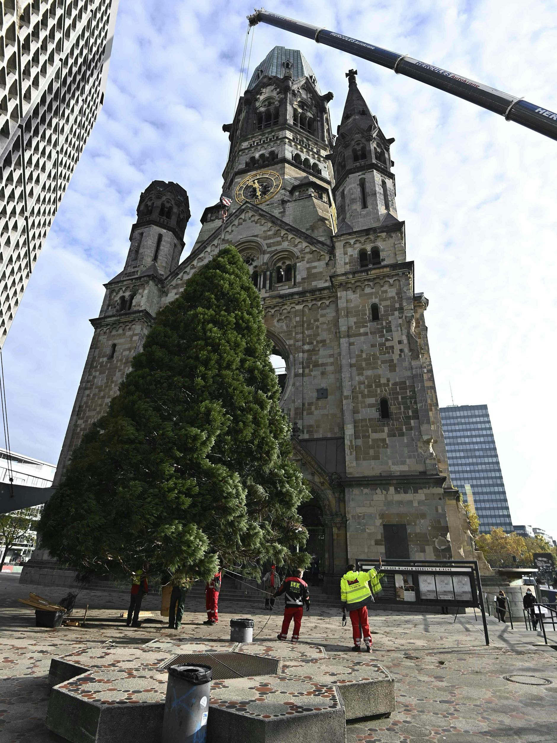 Diesmal waren dem Baum keine Falschparker im Weg. 