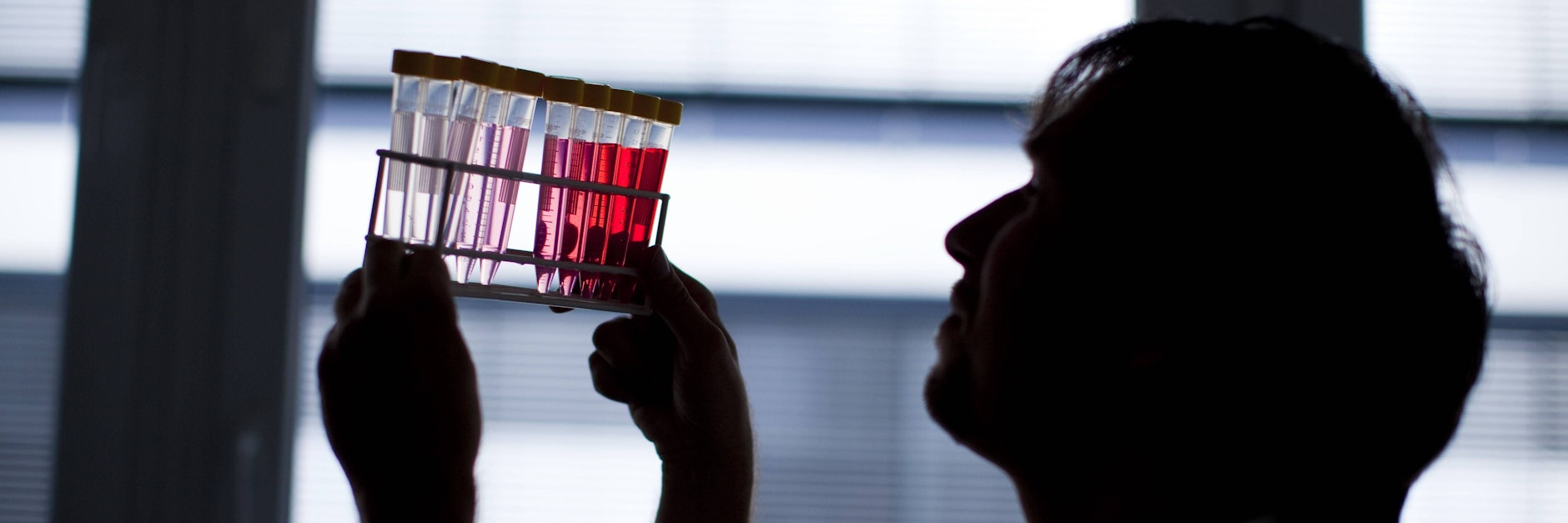 Forscher sind sauer auf die Berliner Landesregierung.&nbsp;