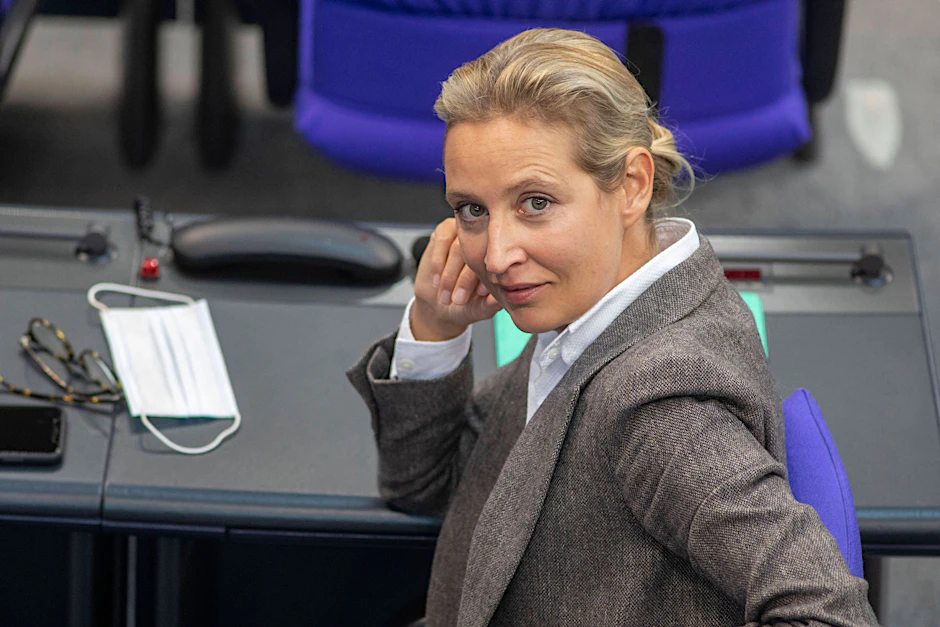 Alice Weidel (AfD)