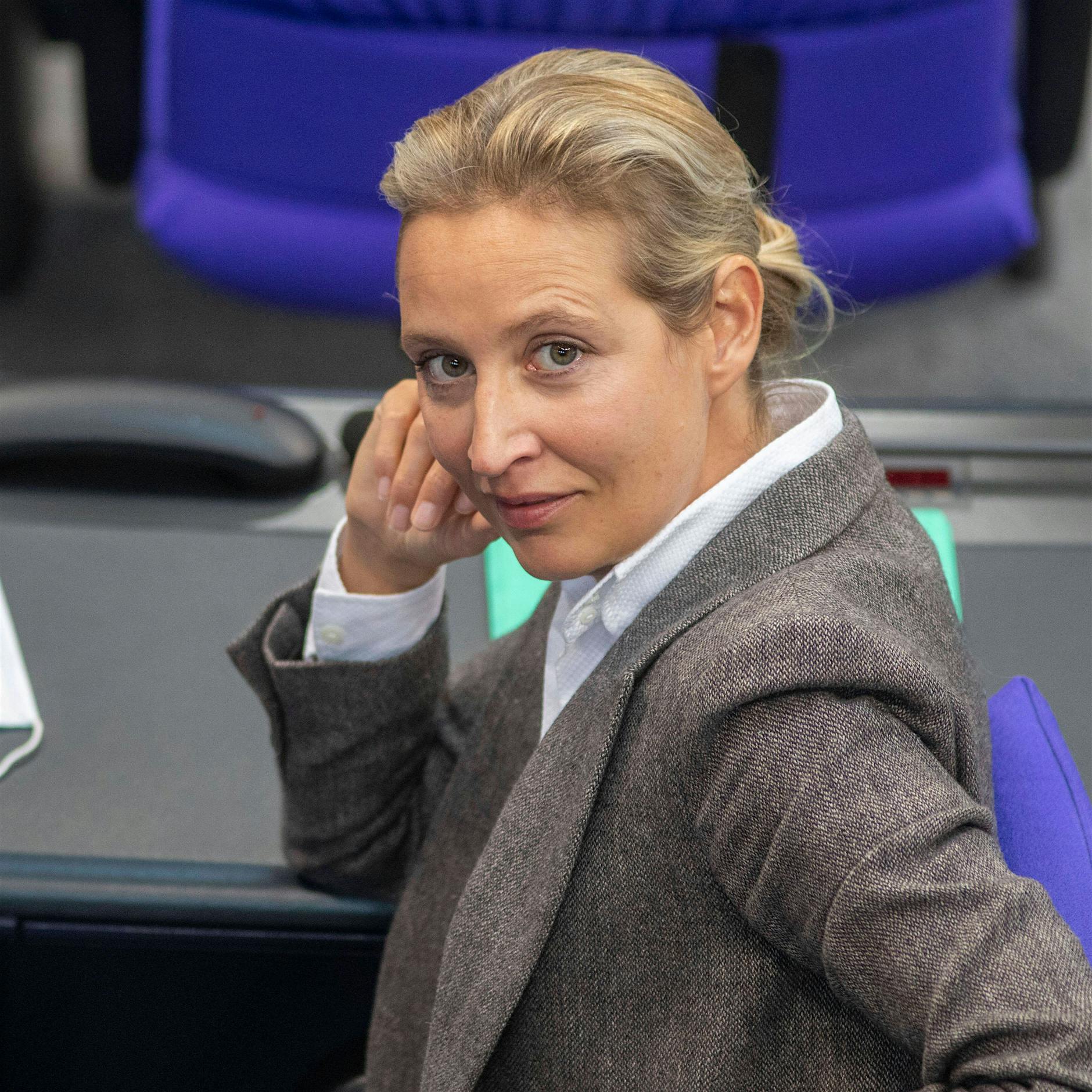 Spendenaffäre: Strafe kostet die AfD eine halbe Million Euro