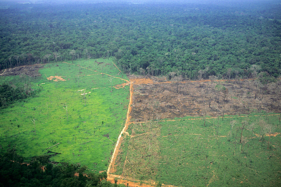 Wald wird zu Plantagen: Die Umnutzung von Land, wie hier in Brasilien, nennt ein neuer Bericht des Weltbiodiversitätsrats als zentralen Faktor, der Zoonosen und damit mögliche Pandemien begünstigt.