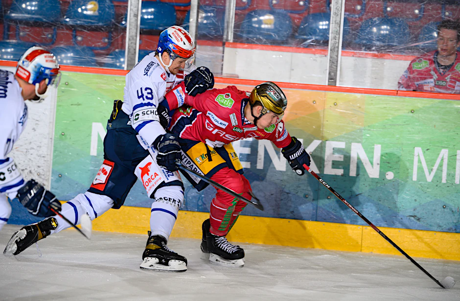 Die Eisbären und die Schwenninger Wild Wings treten in der Hauptrunde der neuen Saison in unterschiedlichen Gruppen an.