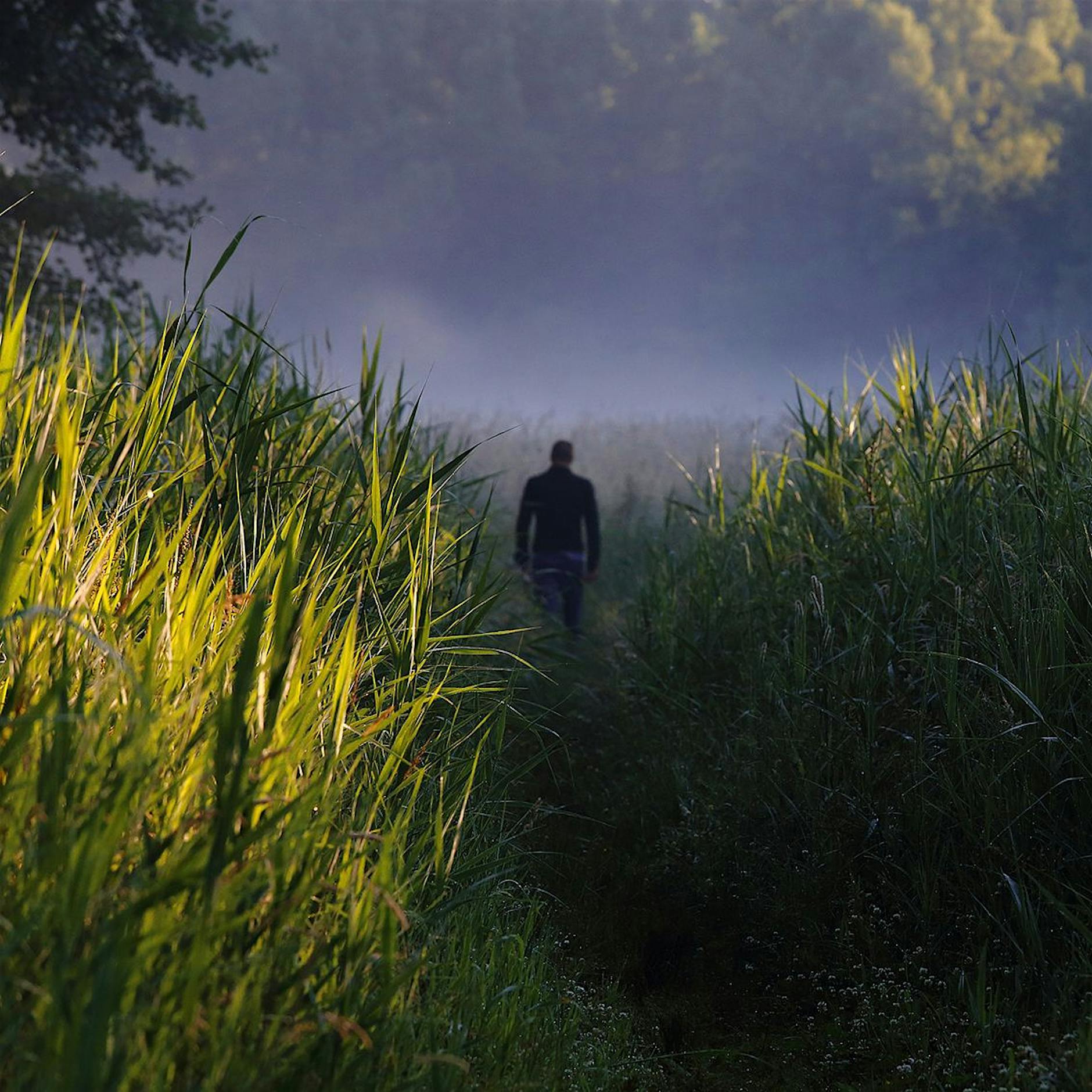 Mit anderen Augen: Das Wuhletal