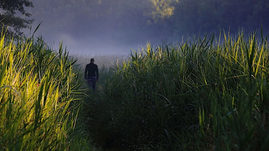 Morgenspaziergang.