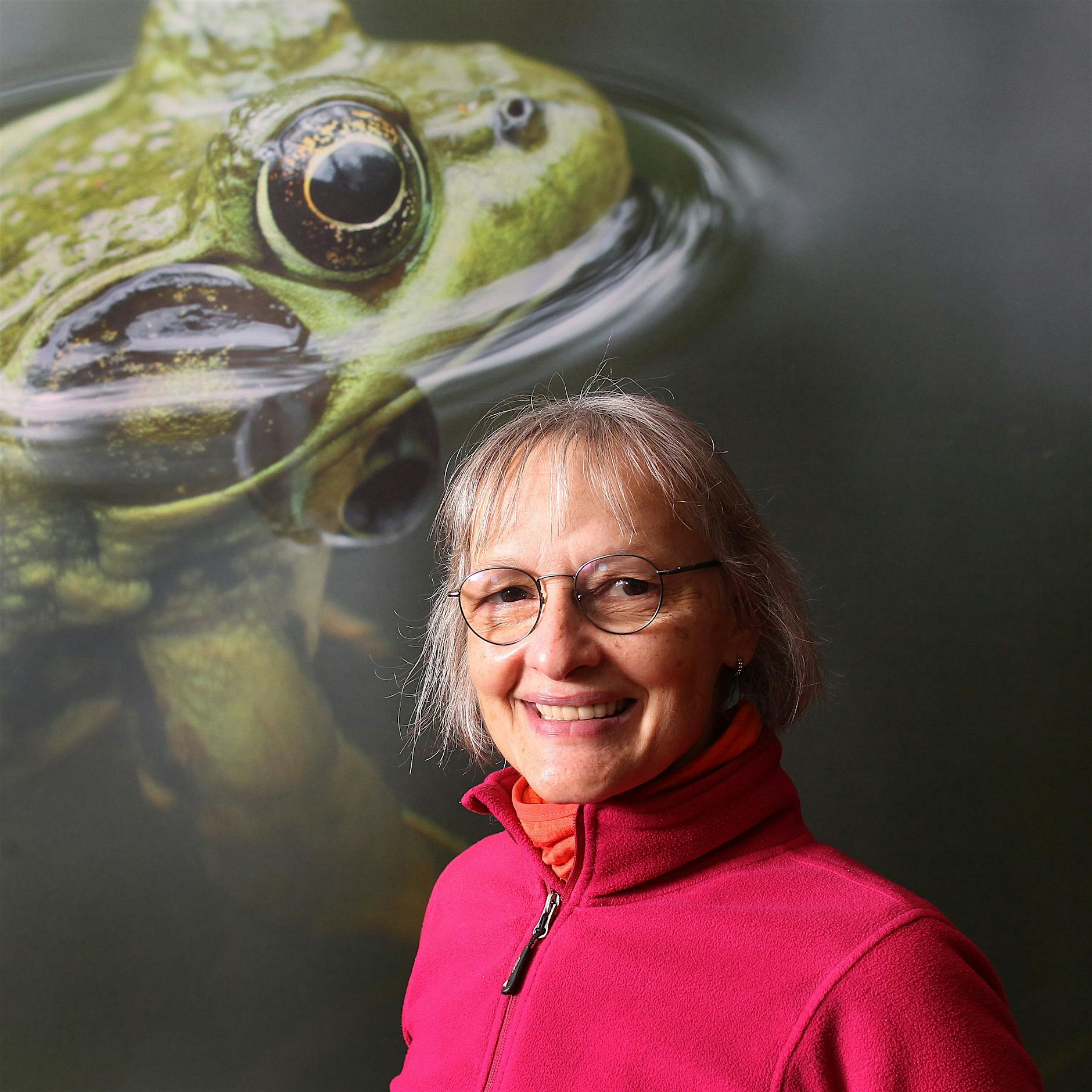 Landliebe in Lichtenberg: Früher Stasi-Karpfen, heute Storchennester