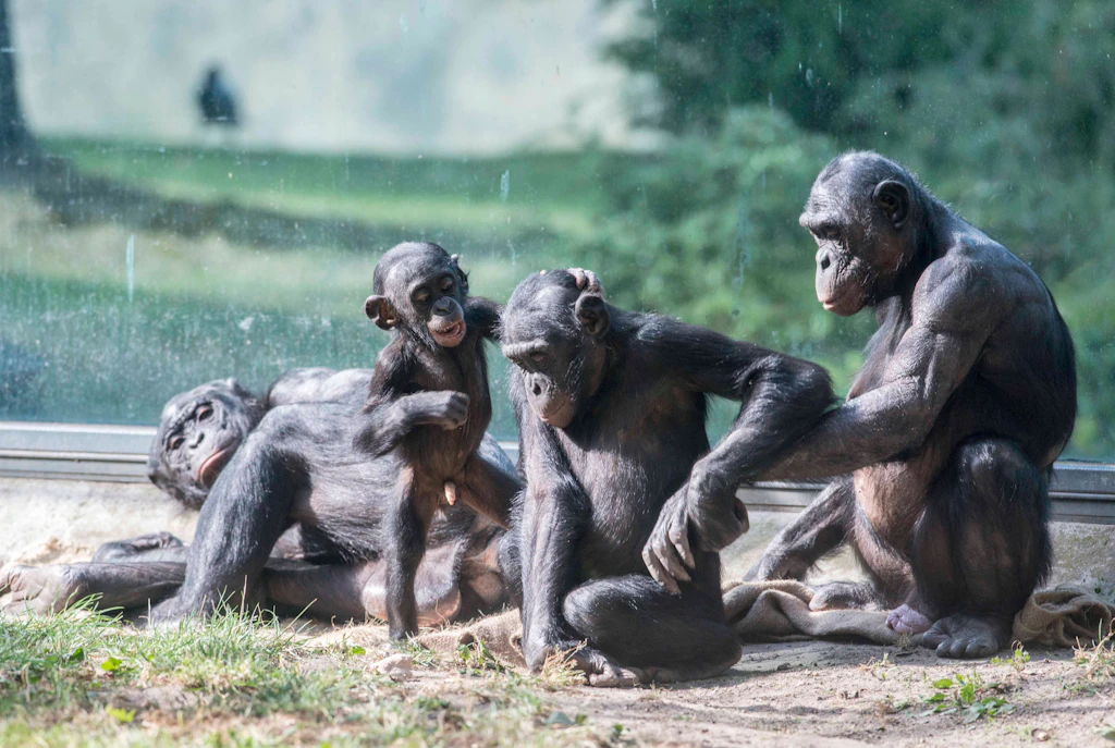 Zoo- und Tierpark-Chef rechnet vor: So hart trifft uns die Corona-Krise