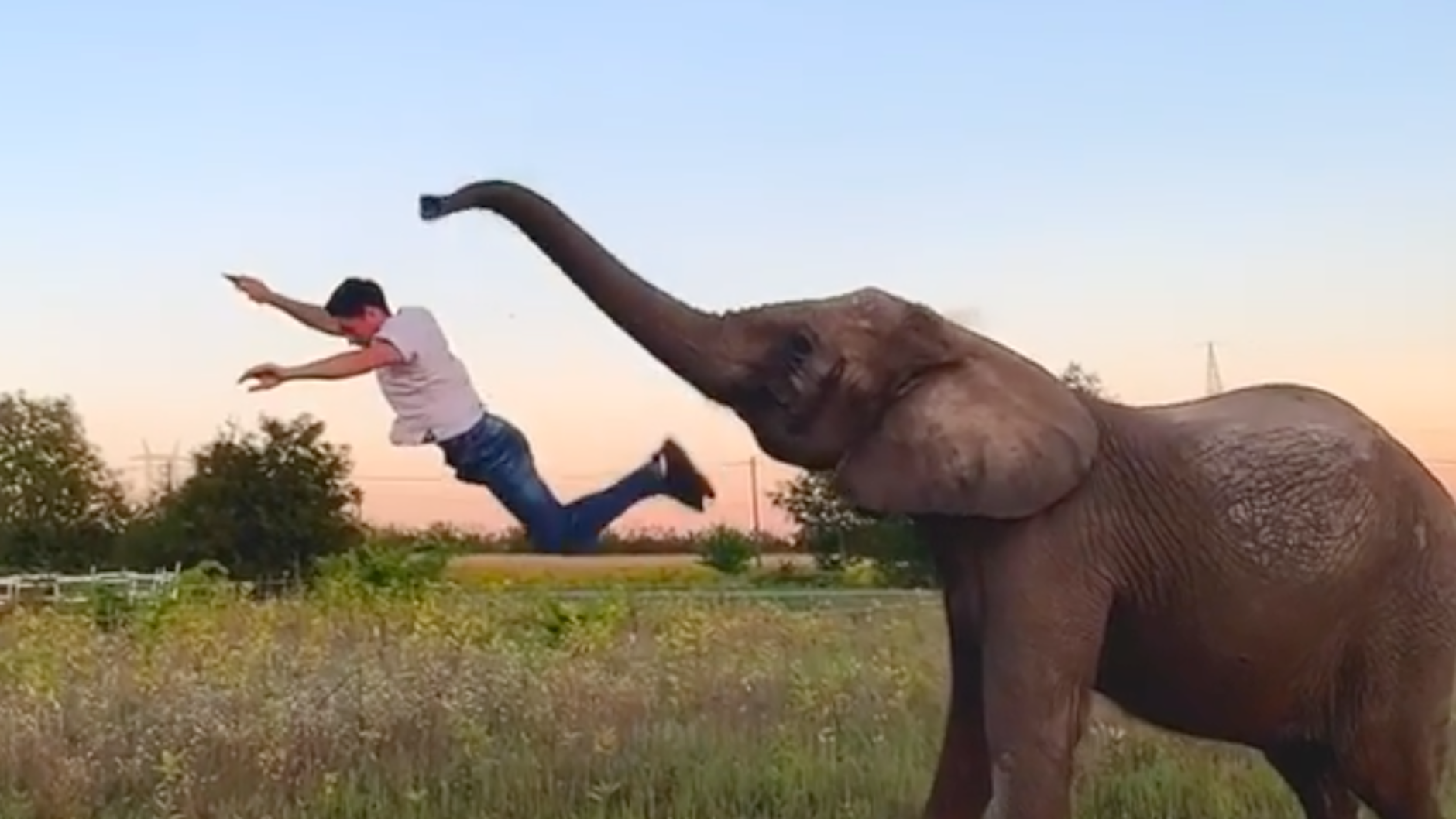 Steht in der Zirkusmanege mit Elefanten auf der Bühne: „Ninja Warrior“-Star René Casselly.