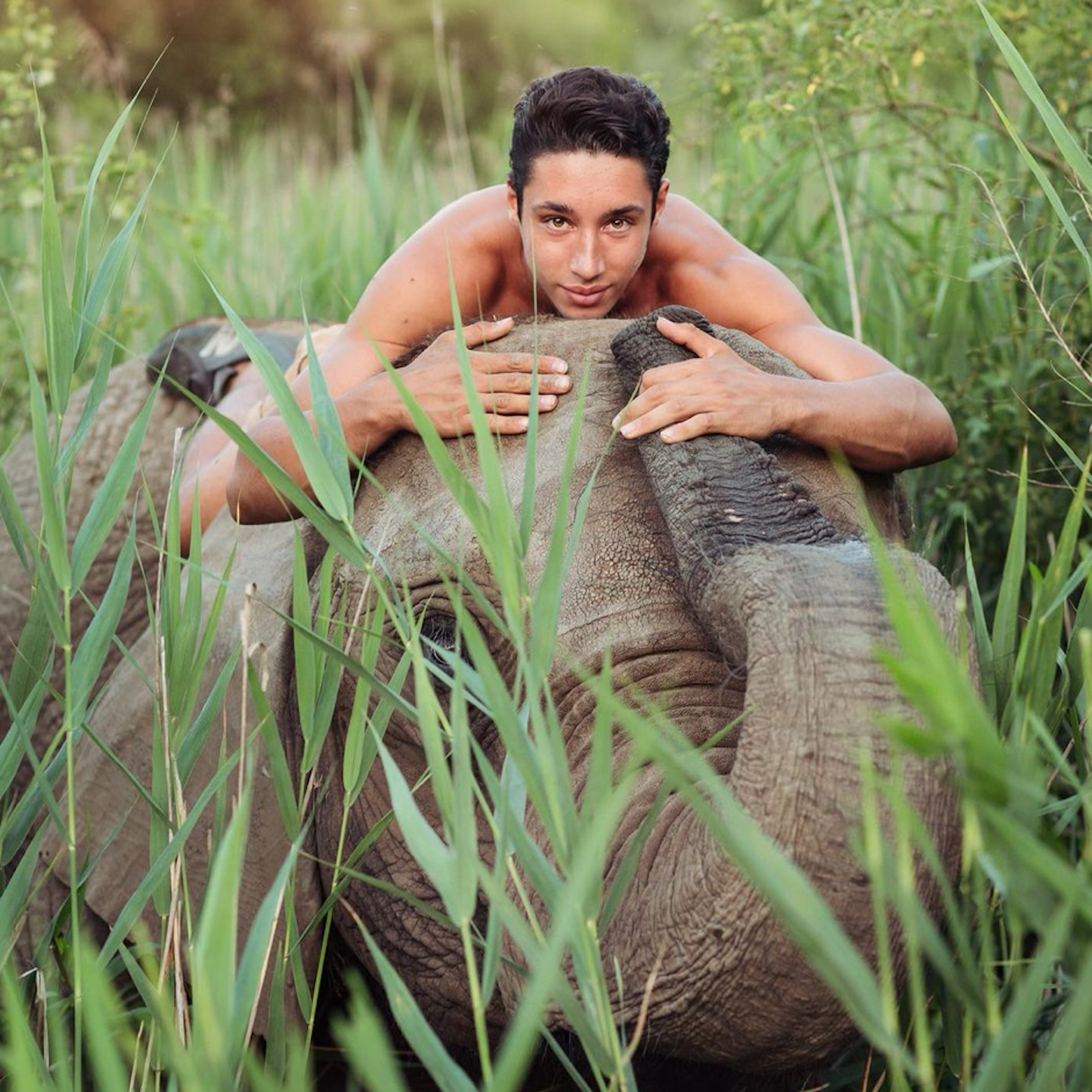 Liebt seine Elefanten: René Casselly.