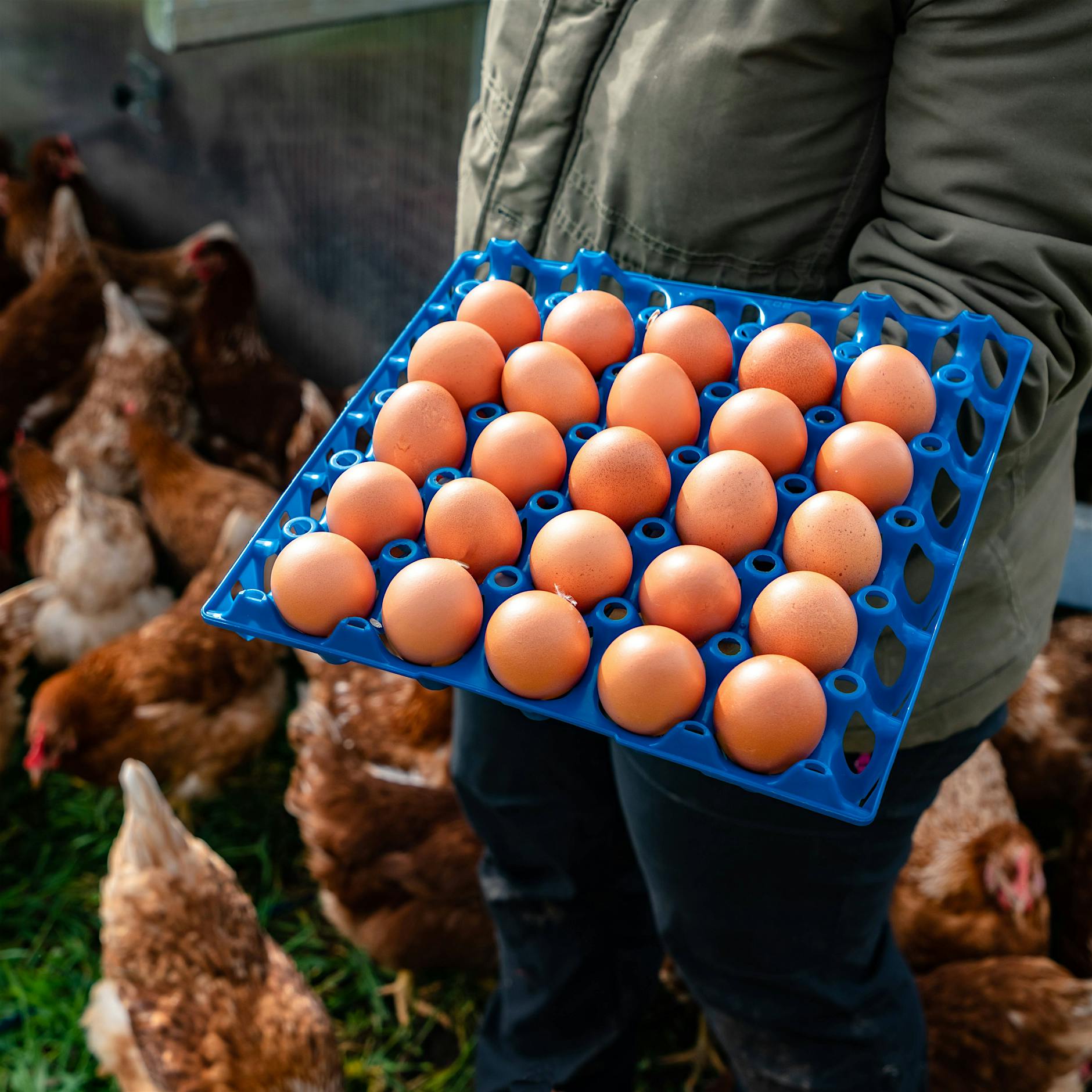Täuschungsvorwurf: Foodwatch klagt gegen Aldi