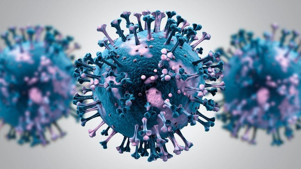 Das Coronavirus in einer Simulation.