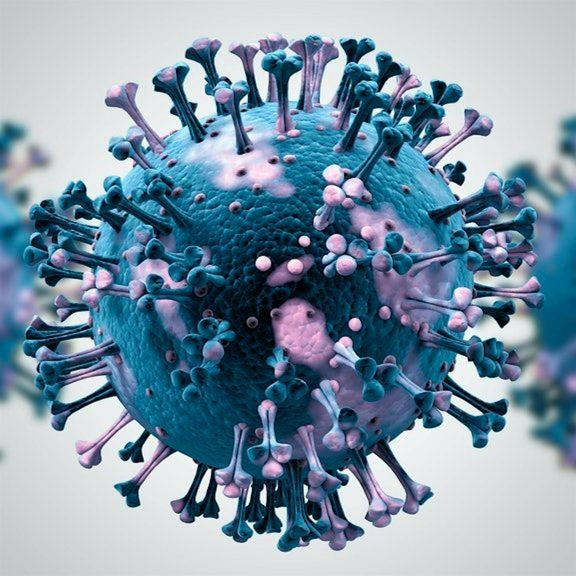 Corona in Berlin: 1656 Neuinfektionen, 19 weitere Todesfälle