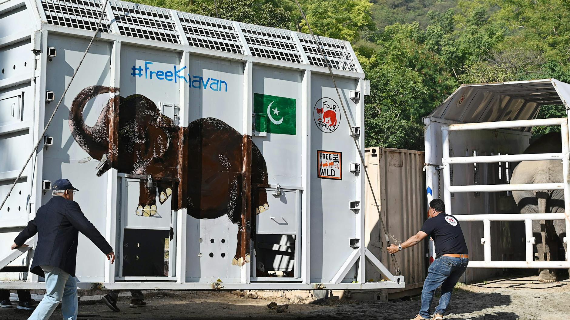 In dieser Transportbox wird Kavaan seine Reise von Pakistan nach Kambodscha antreten. Dort wird er in einem Schutzgebiet ein neues Zuhause finden.