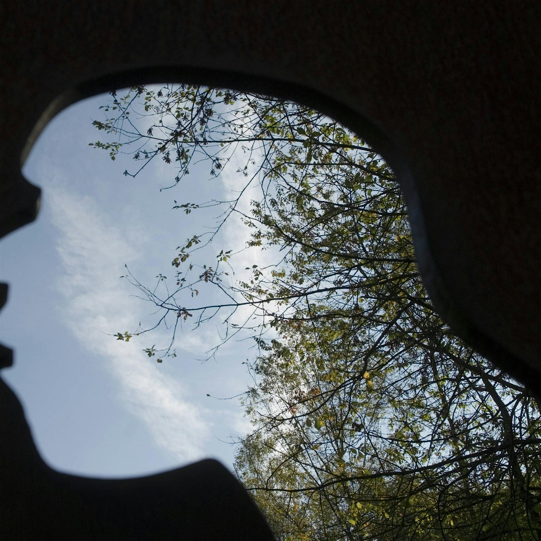 Überlebt der Homo sapiens? Oder stirbt er aus wie Homo neanderthalensis?