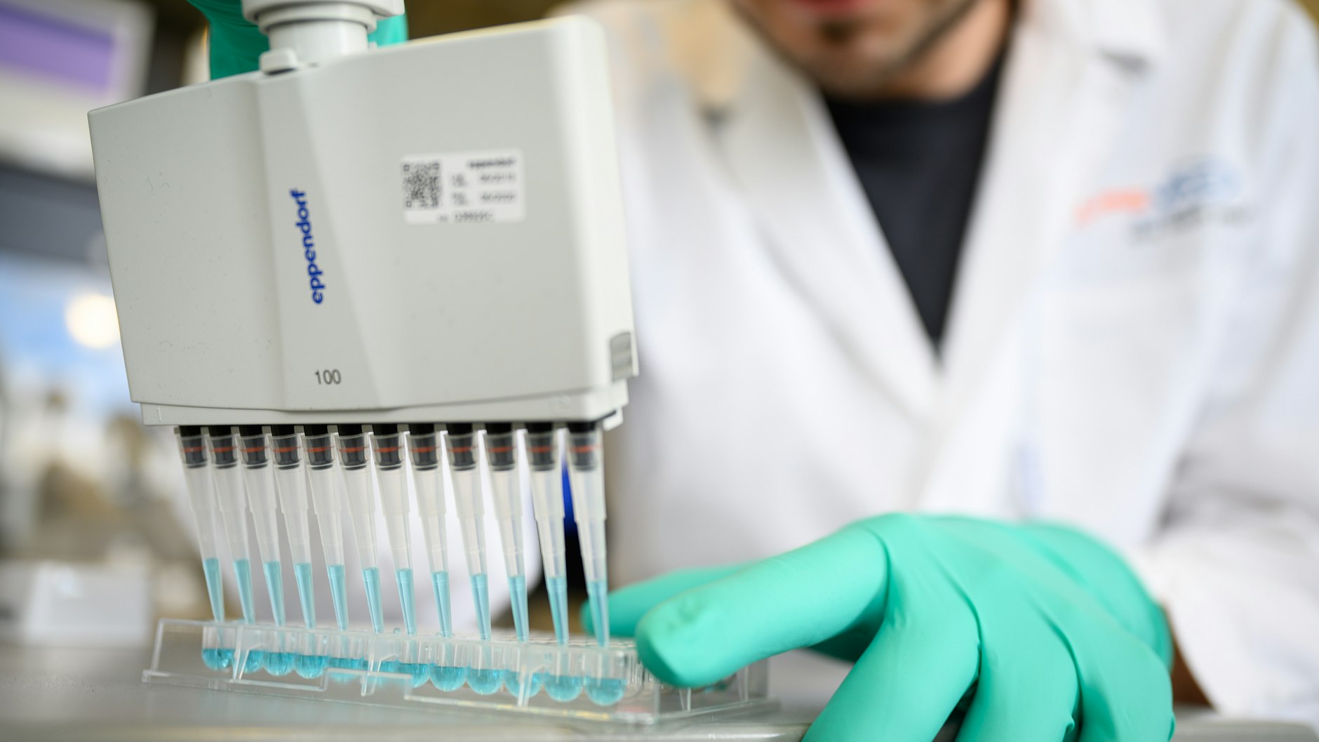 Ein Mann pipettiert in einem Labor des biopharmazeutischen Unternehmens Curevac eine blaue Flüssigkeit. In dem Unternehmen wird nach einem Impfstoff gegen das Coronavirus geforscht.