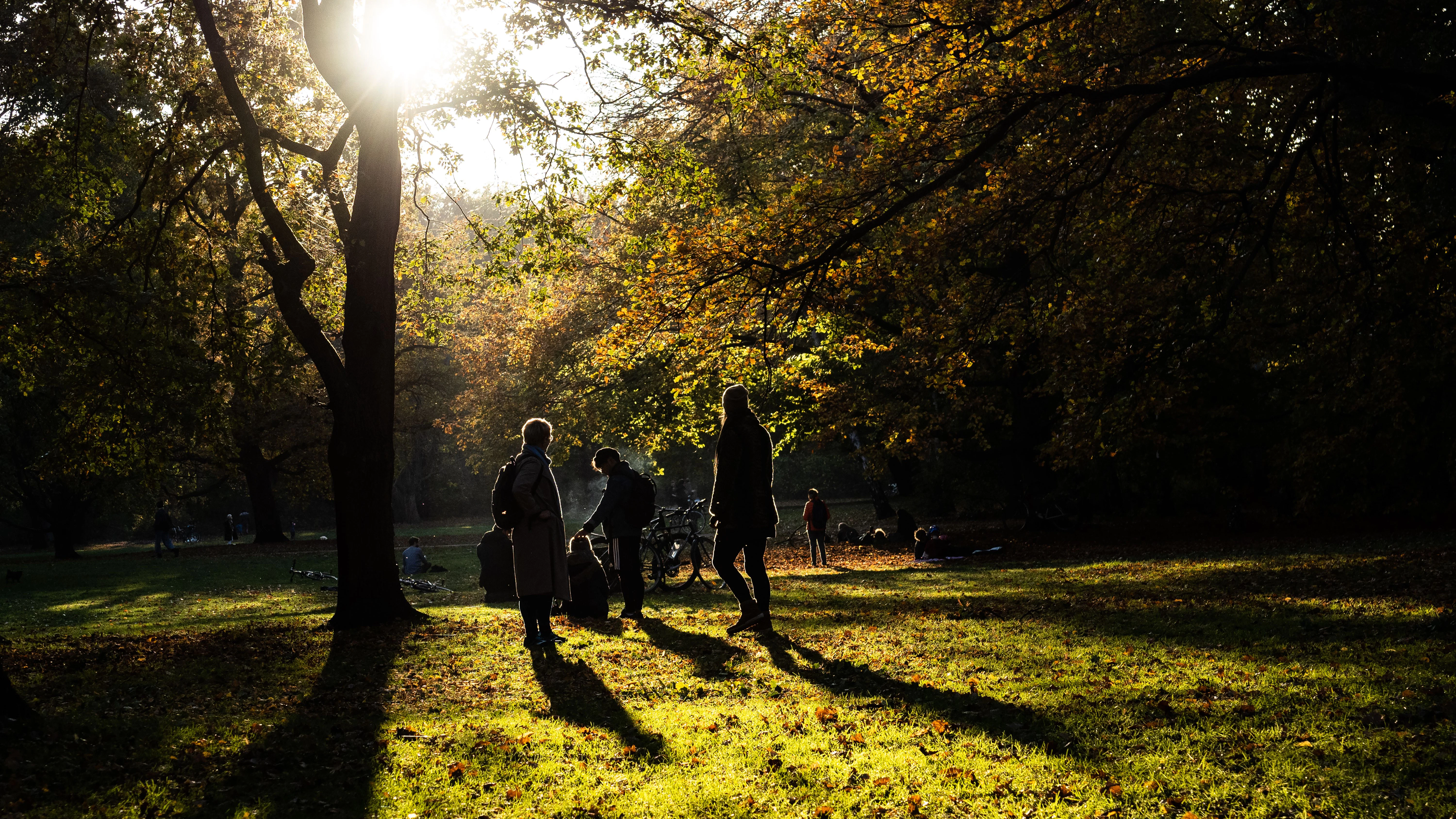 Menschen genießen den strahlenden Sonnenschein und die milden Herbst-Temperaturen auf einer Wiese im Tiergarten.
