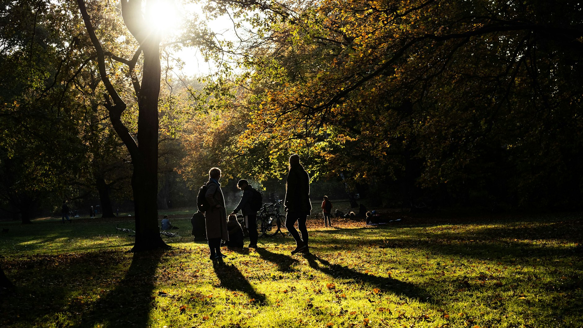Menschen genießen den strahlenden Sonnenschein und die milden Herbst-Temperaturen auf einer Wiese im Tiergarten.