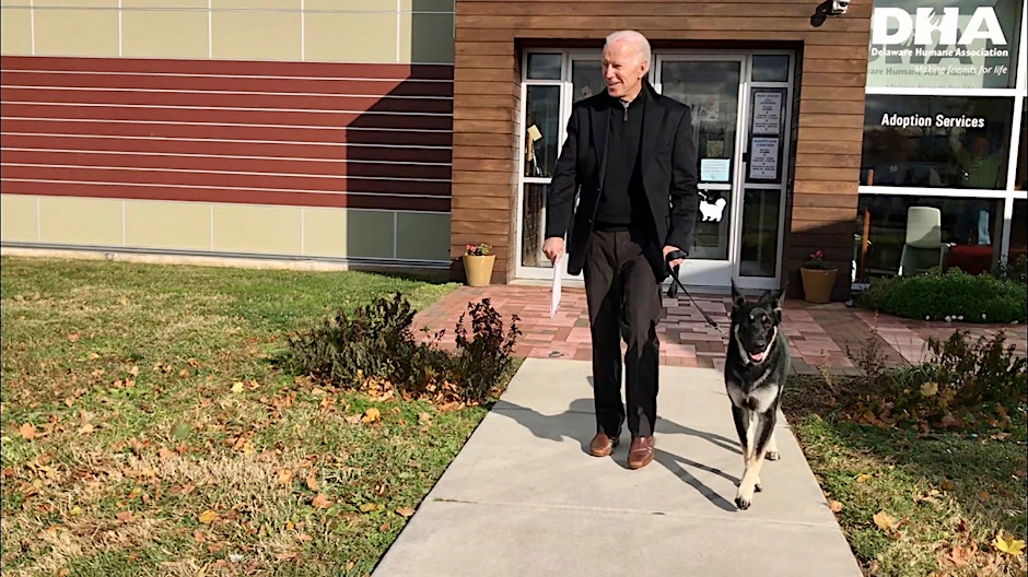 Joe Biden, neu gewählter Präsident der USA, und sein Deutscher Schäferhund Major.