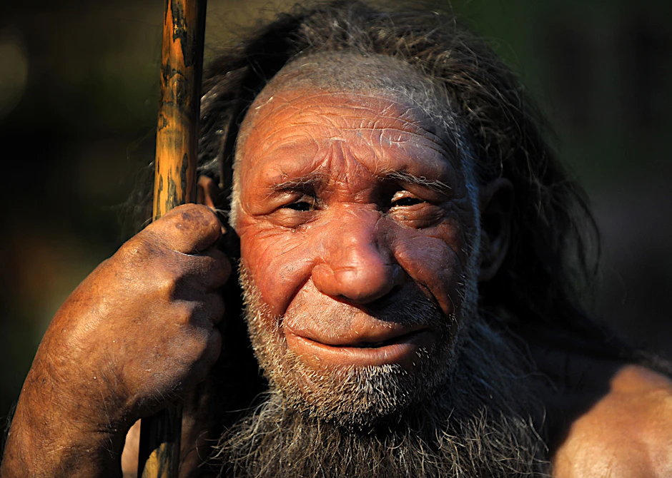 Nachbildung eines älteren Neandertalers - zu sehen im Neanderthal-Museum in Nordrhein-Westfalen.&nbsp;