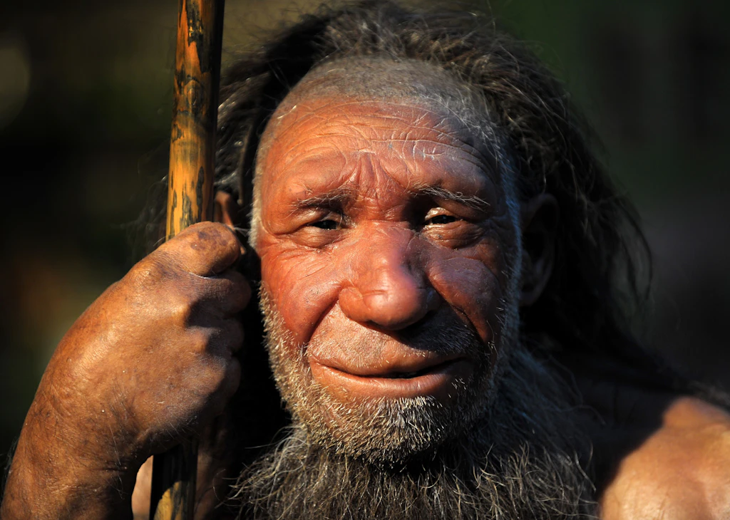 Die Hände der Neandertaler waren kräftig, aber nicht genau