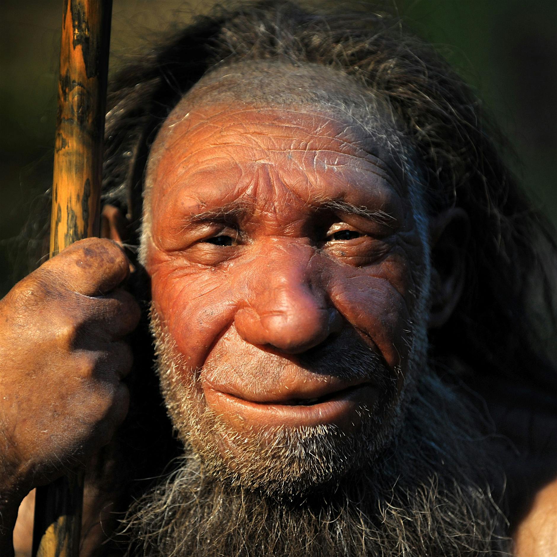 Die Hände der Neandertaler waren kräftig, aber nicht genau