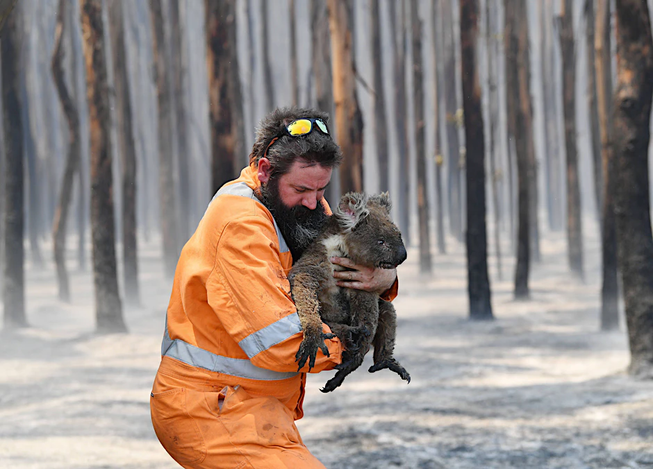 Monatelang hielten die australischen Buschfeuer im letzten Jahr Mensch und Tier in Atem. (Archivbild)