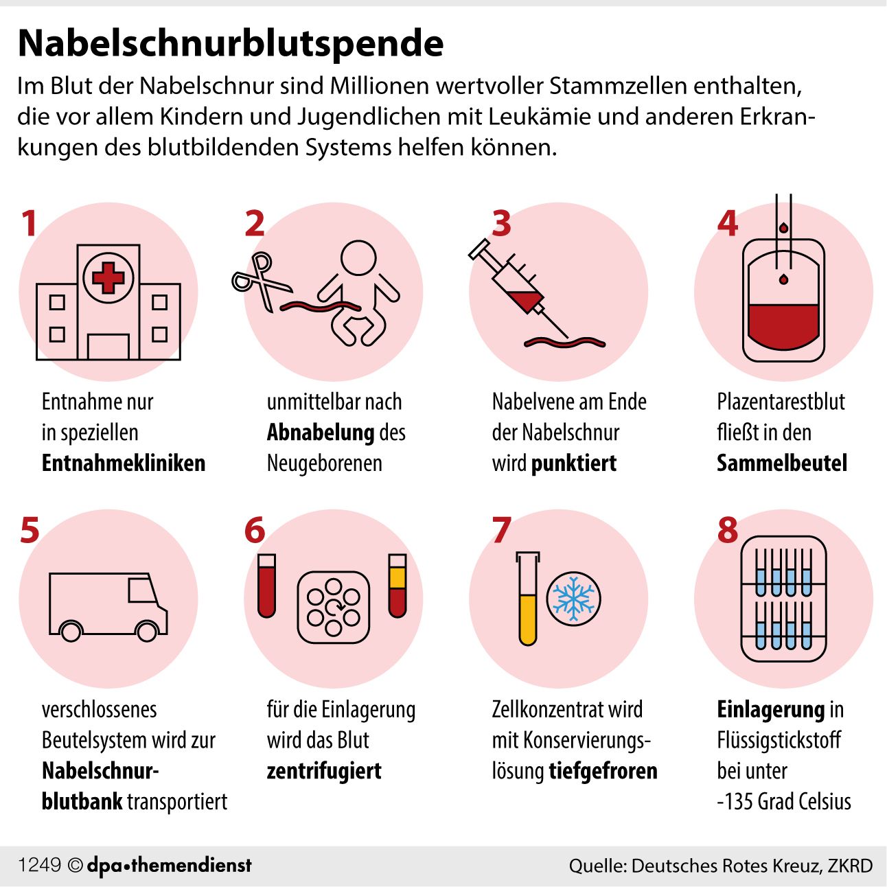 Stammzellenspende: Nabelschnurblut Kann Vor Allem Jüngeren Helfen