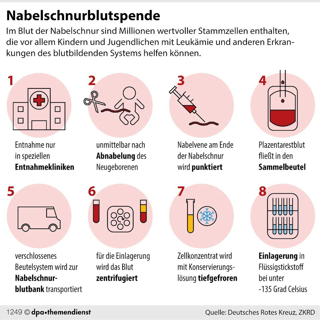 Stammzellenspende: Nabelschnurblut kann vor allem Jüngeren helfen