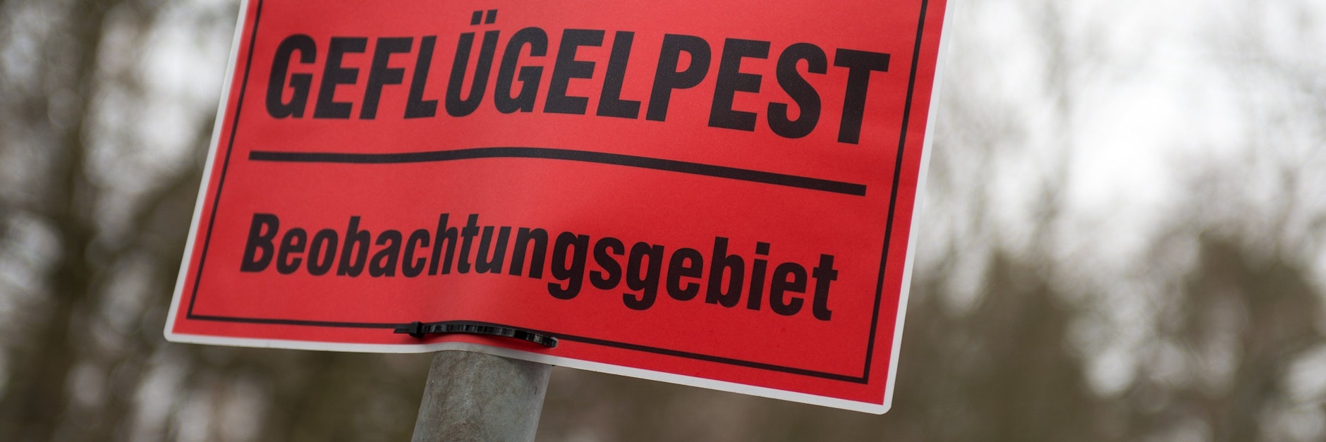 Ein Schild warnt vor der Geflügelpest.