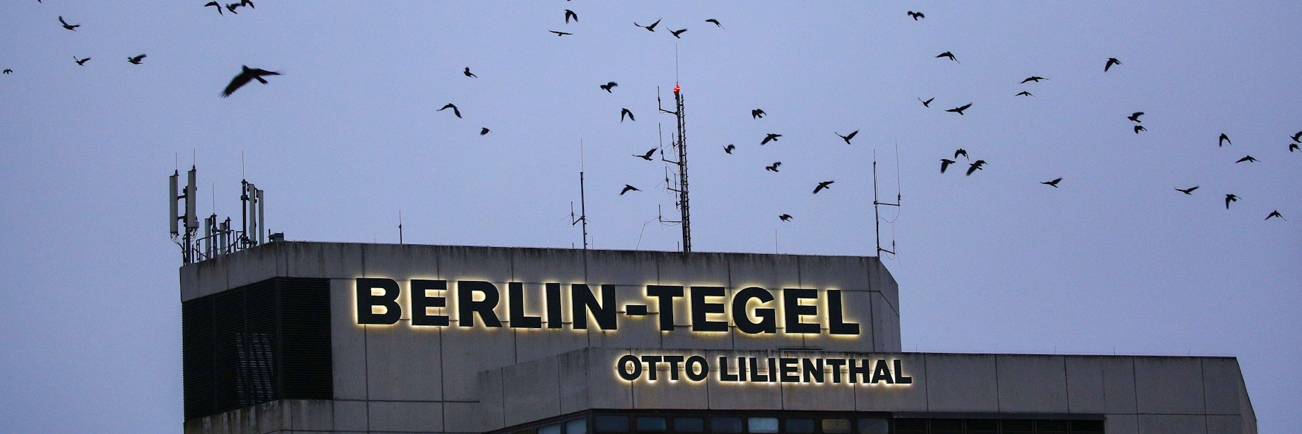 Am Flughafen Tegel fliegen jetzt nur noch die Vögel.