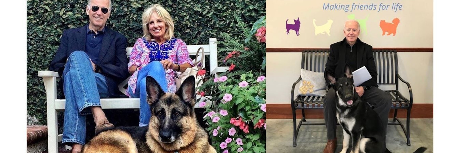 Die Bidens mit ihren Schäferhunden.&nbsp;