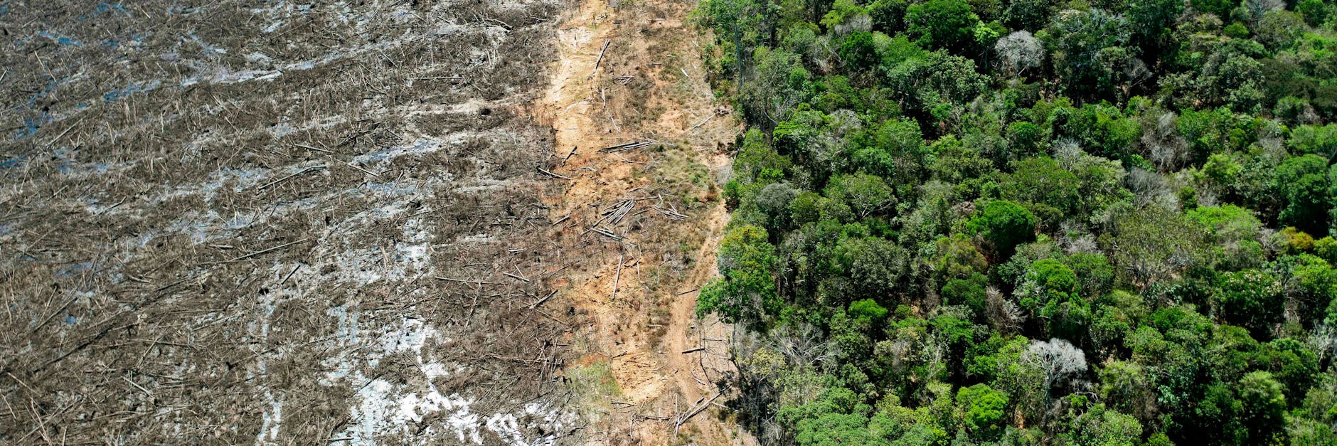 Eine Fläche im brasilianischen Amazonas wurde gerodet. Seit Jair Bolsonaro an der Macht ist, nimmt es wieder Überhand.