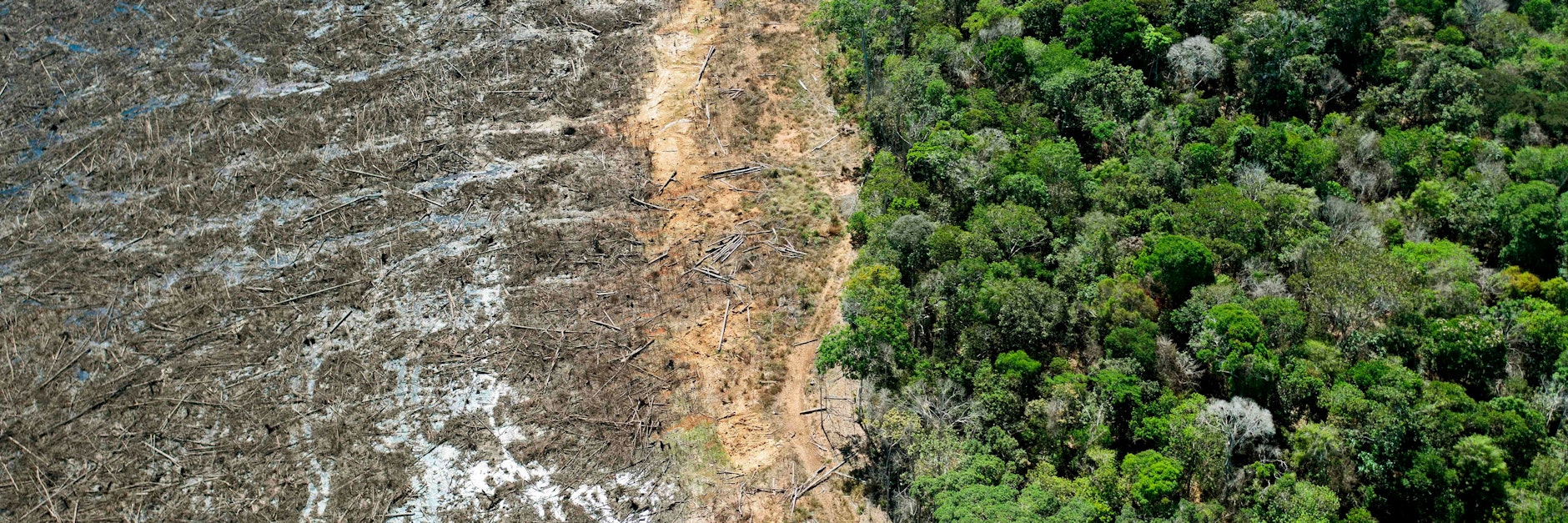 Eine Fläche im brasilianischen Amazonas wurde gerodet. Seit Jair Bolsonaro an der Macht ist, nimmt es wieder Überhand.