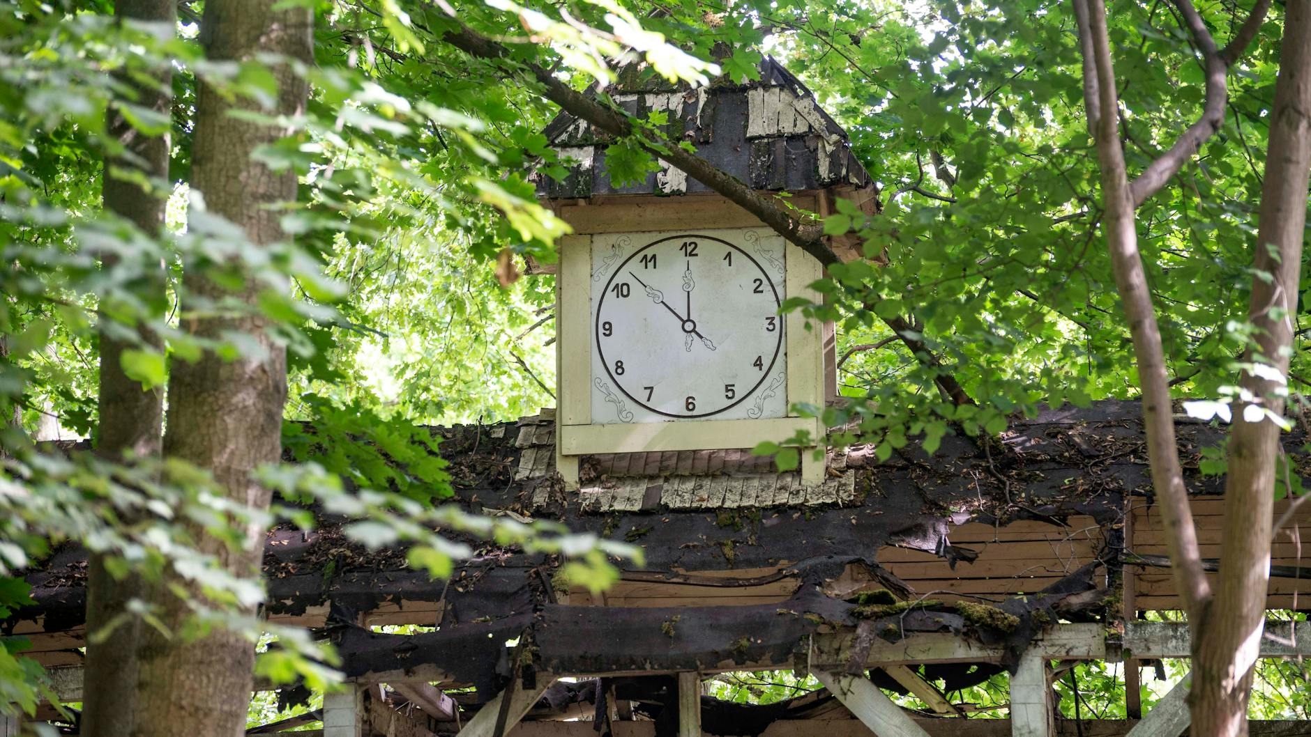 Die Bahnhofsuhr der Parkbahn. Das Gebäude ist verfallen und zugewachsen, doch bald soll im Park wieder Leben einkehren.