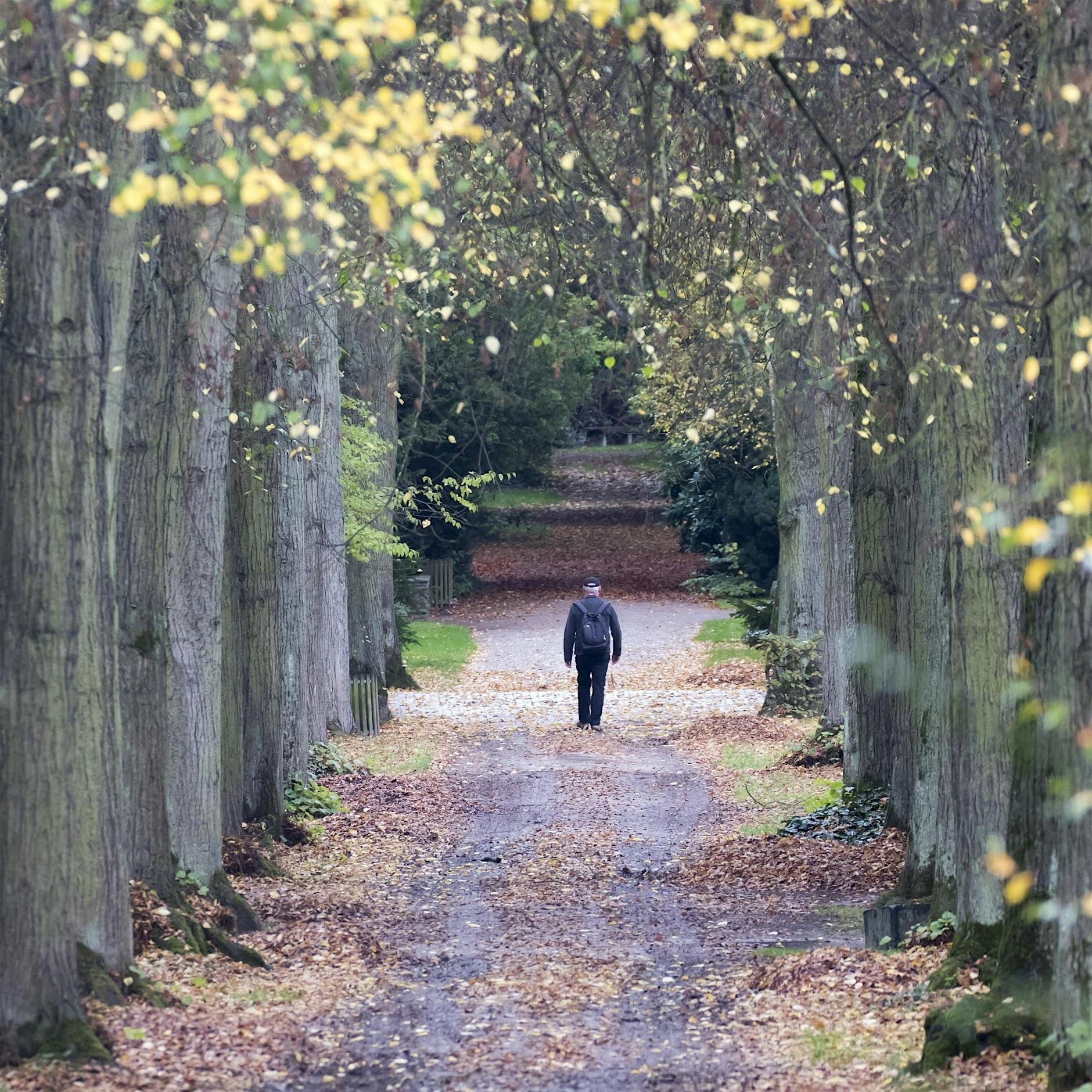 Einsamkeit verschärft sich durch Lockdown