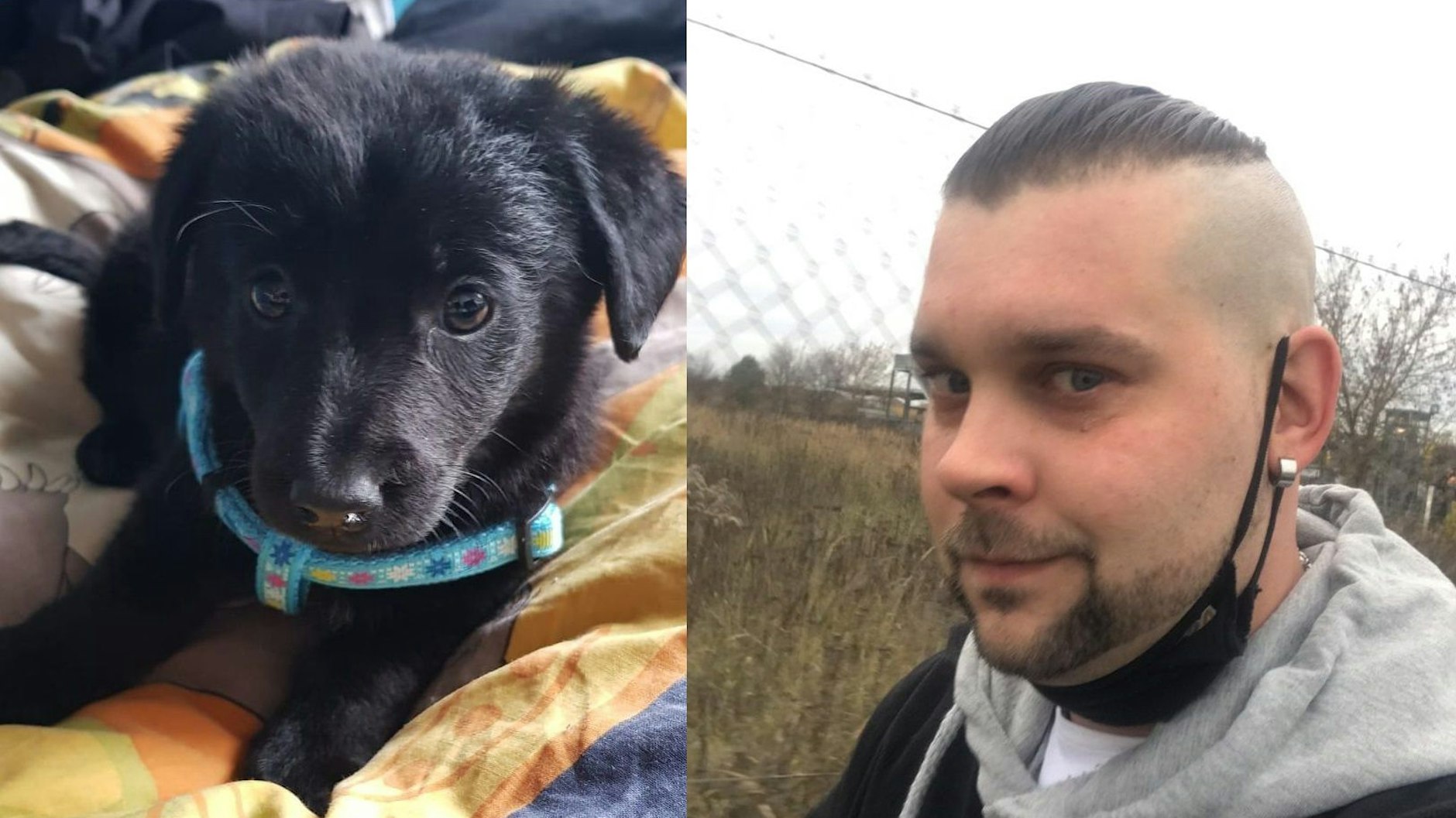 Sascha Hemmerling kaufte den Welpen, der schon zwei Stunden später verstarb.