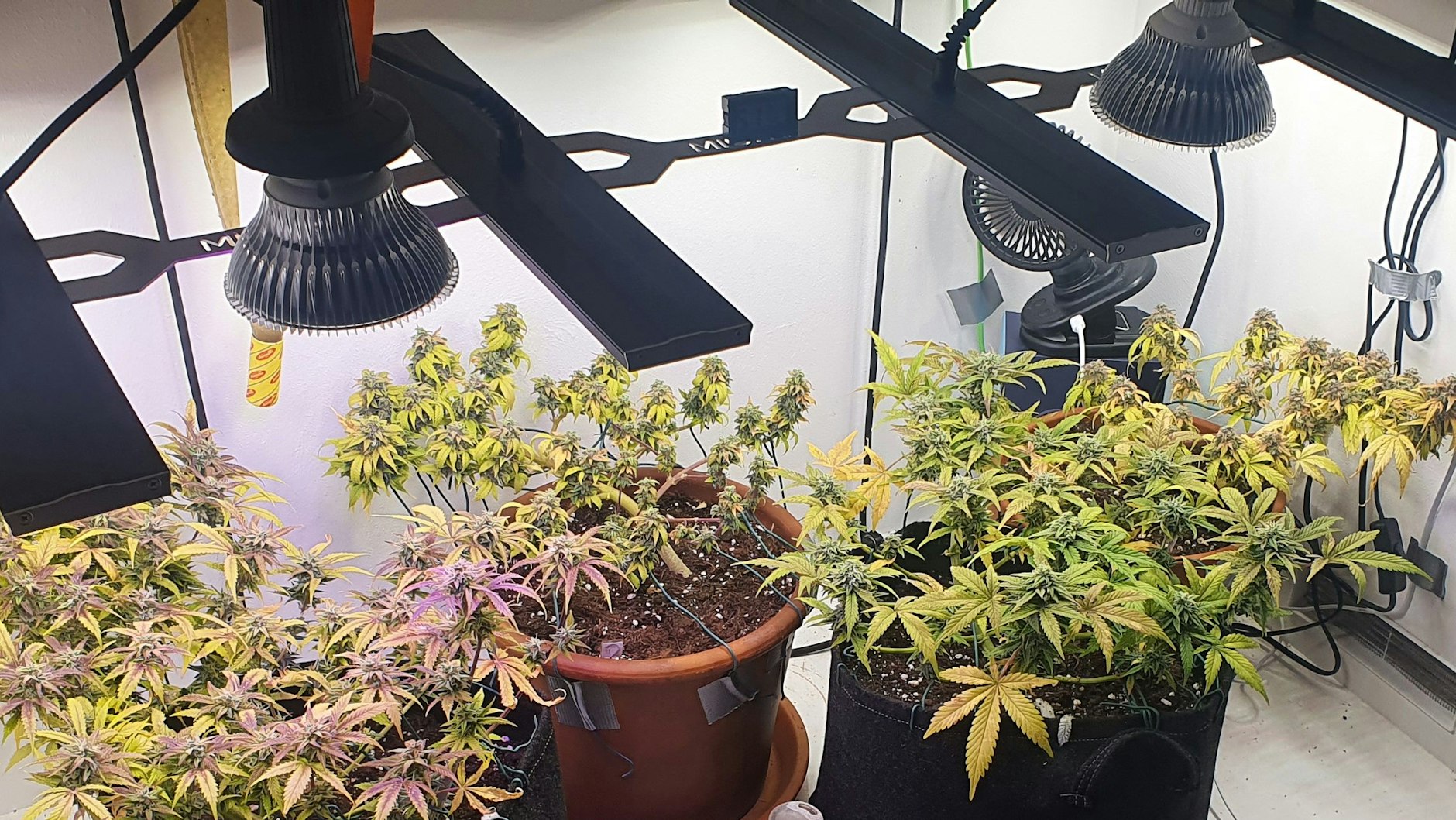 Making the most out of a small kitchen.