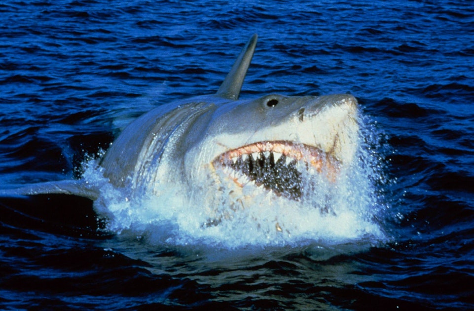 Innerhalb des Elefanten ist s Mund zeigt Zähne und Zunge Tansania Ostafrika dieser Elefant etwa