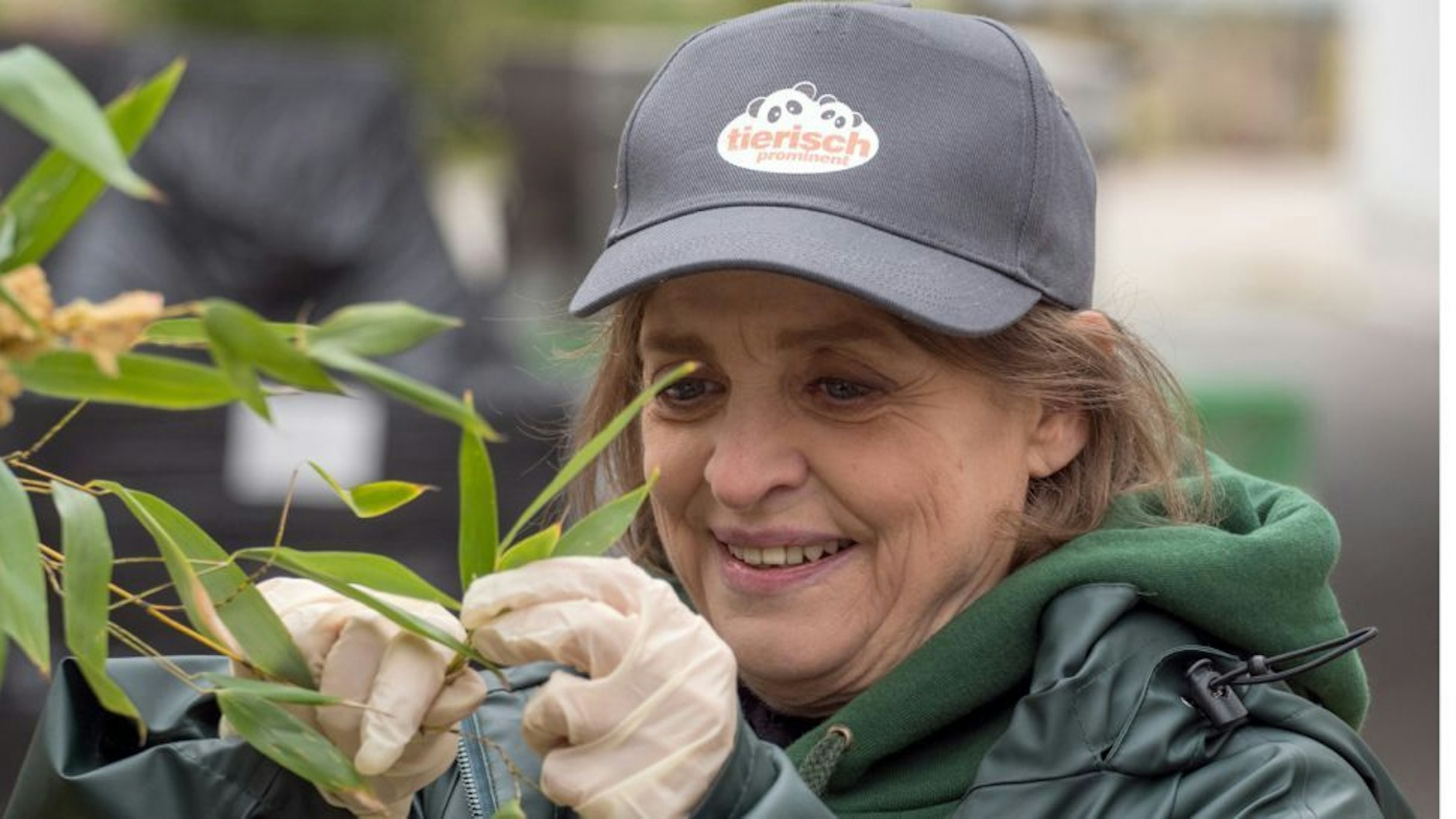 Katharina Thalbach macht ein Bambusbäumchen für die Panda-Zwillinge Pit und Paule zurecht.&nbsp;
