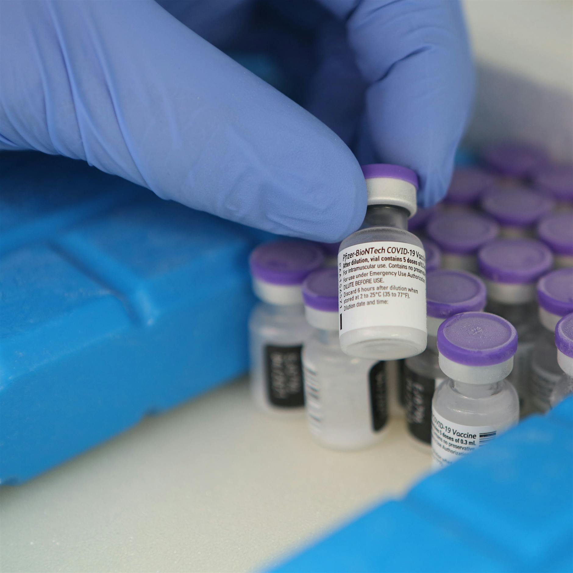 Corona-Impfung: So werden Nebenwirkungen überwacht