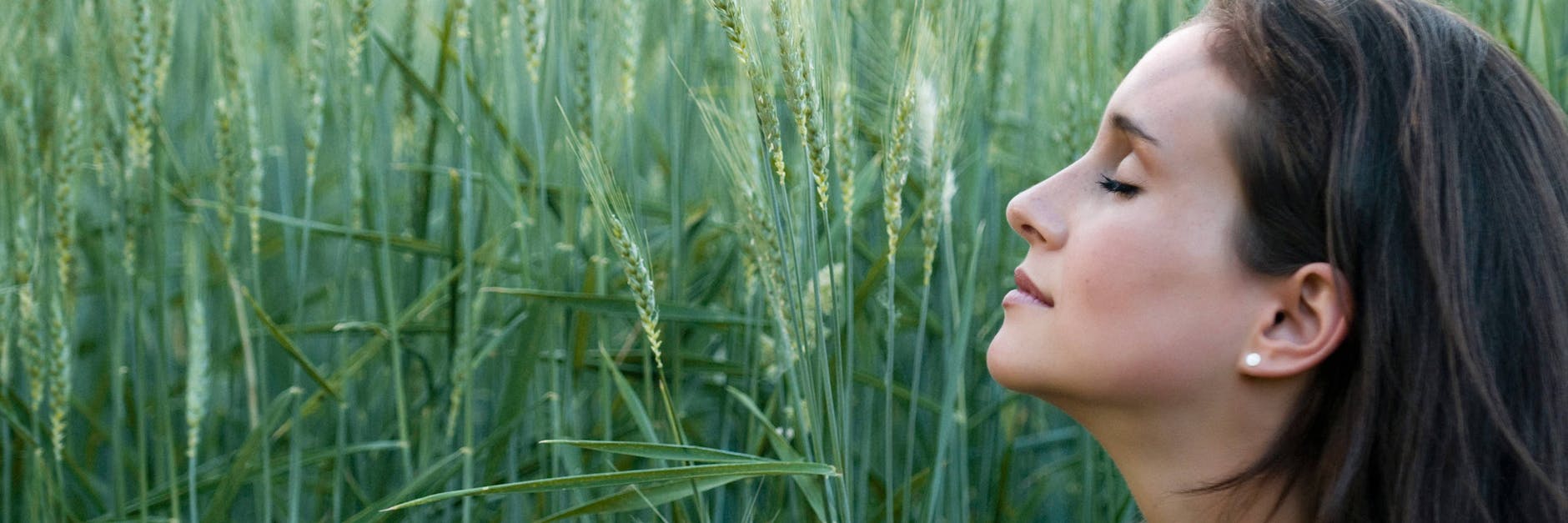 Wenn die Welt nicht mehr riecht. 