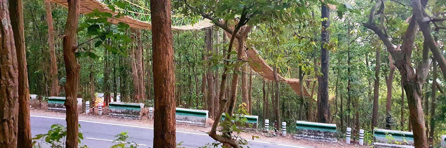 Eine Brücke aus Juteseilen und Bambusplanken spannt sich über eine stark befahrene Autobahn, die durch einen Dschungel führt.