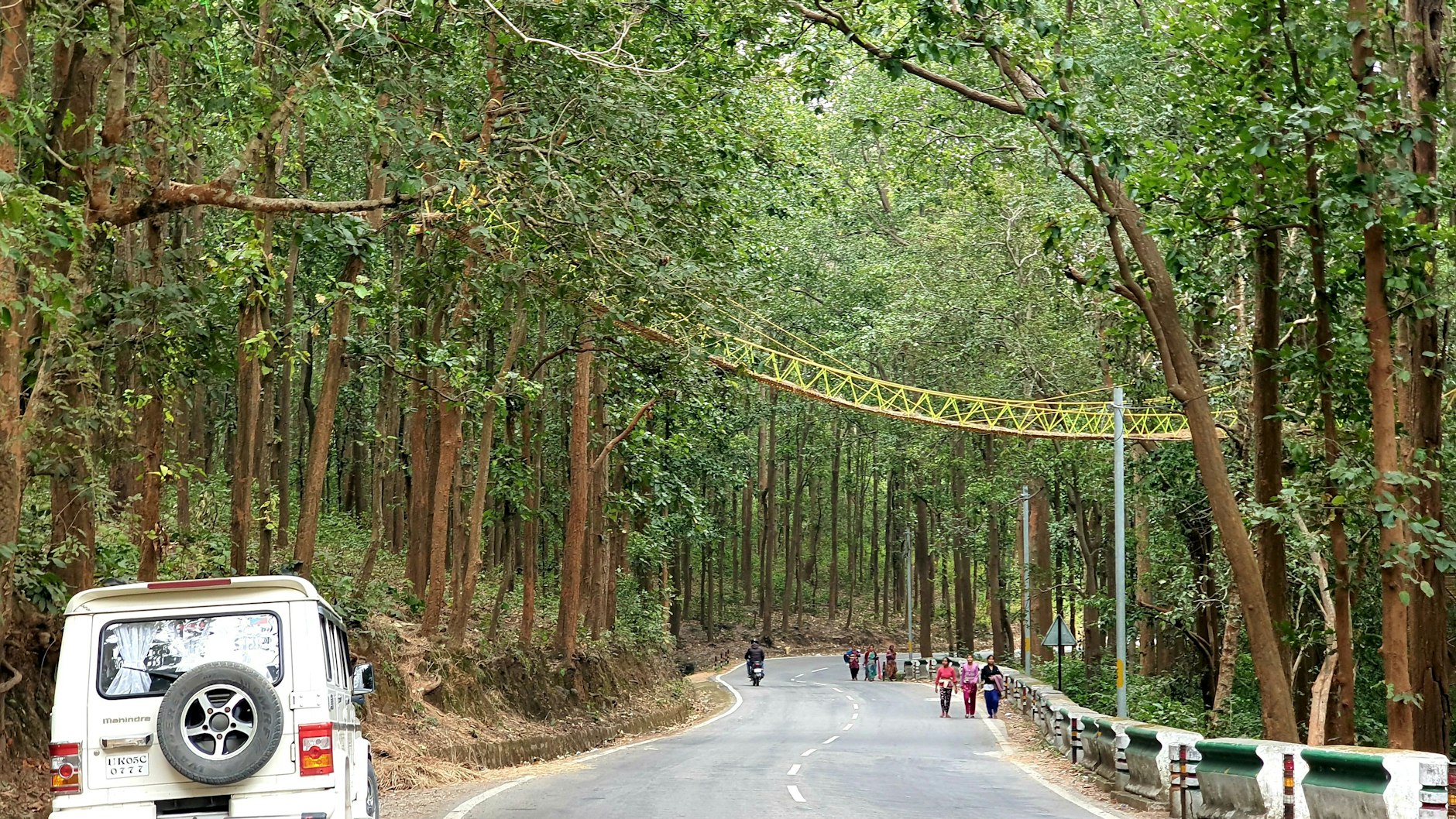 Die Waldbehörde hofft, dass die 27 Meter lange, 1,5 Meter breite und 12 Meter hohe Brücke besonders kleine Tiere anzieht, die Autofahrer deutlich schlechter sehen und eher überfahren werden als große Tiere.&nbsp;