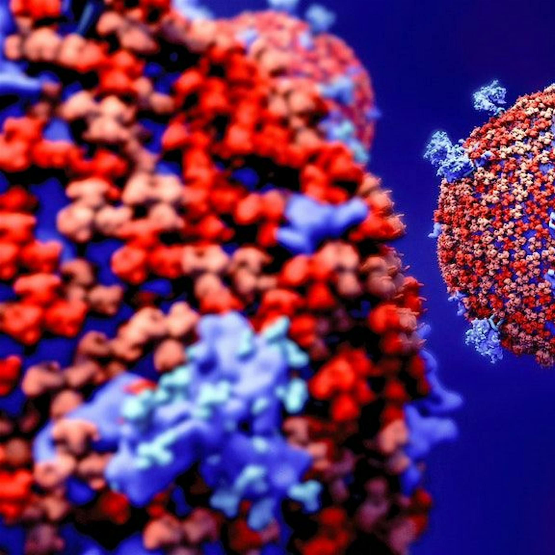 Neuer Höchststand: Erstmals über 1000 Corona-Tote an einem Tag