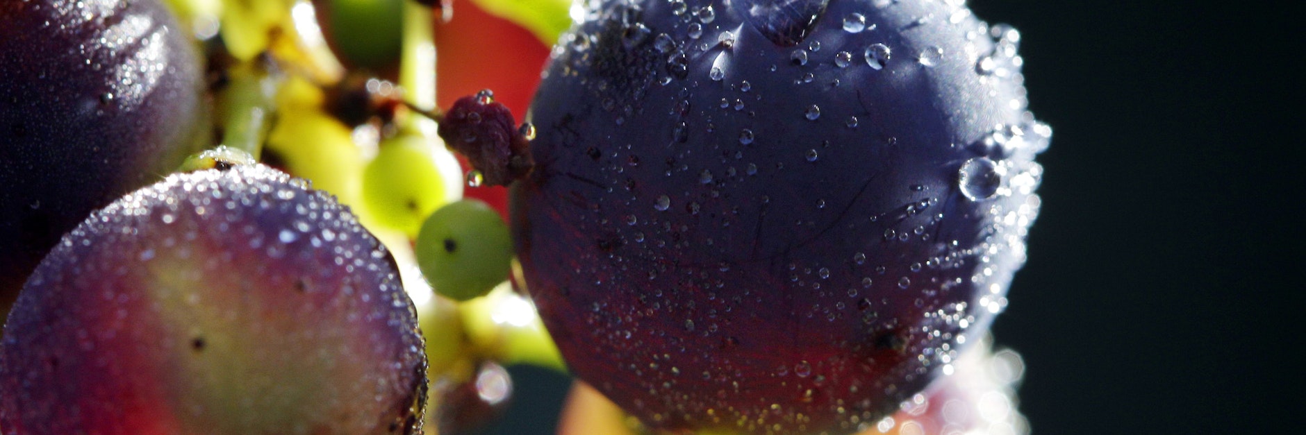 Hintergrund ist ein jahrelanger Streit zwischen den USA und Ländern der EU über rechtswidrige Subventionen.