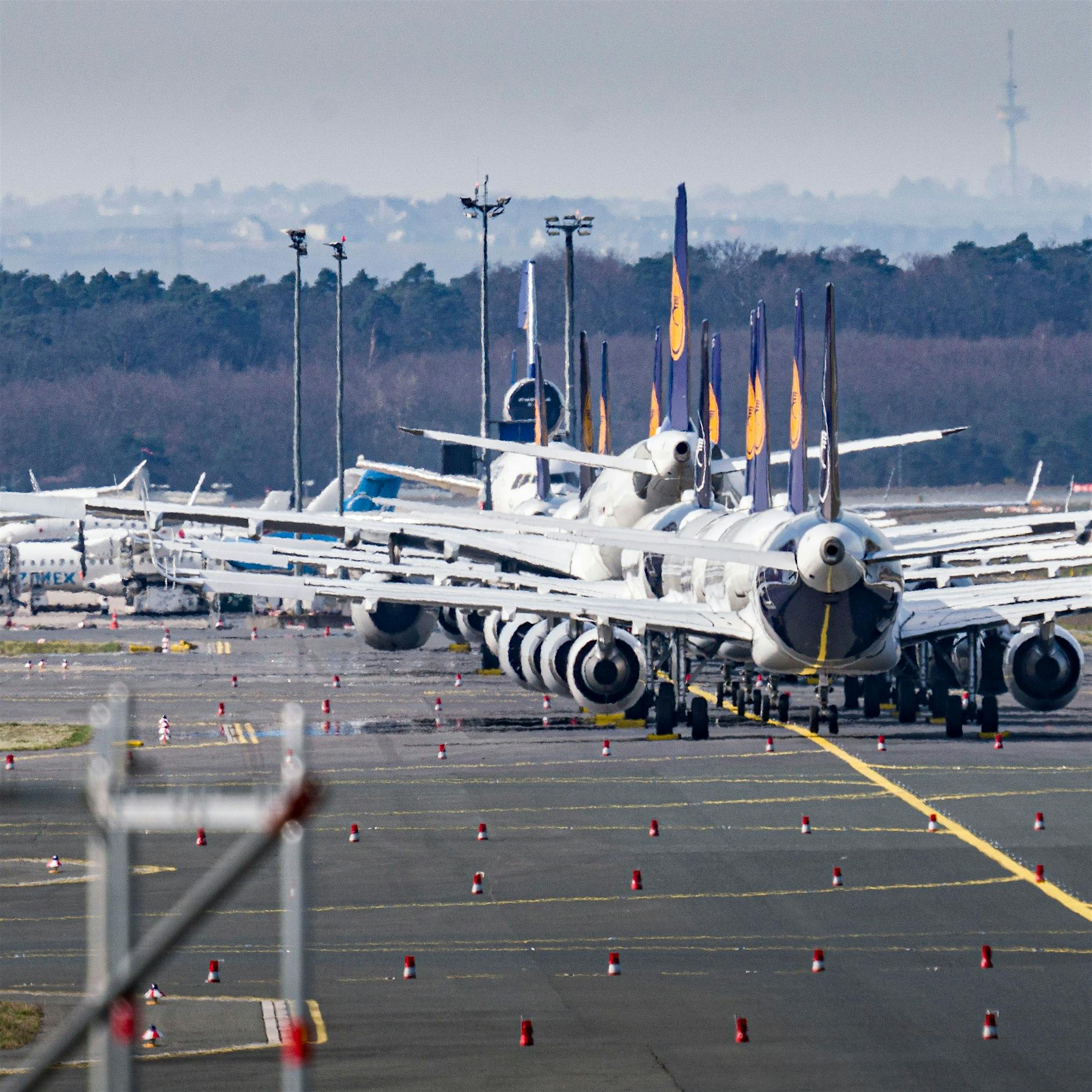 Lufthansa-Buchungen boomen über Weihnachten