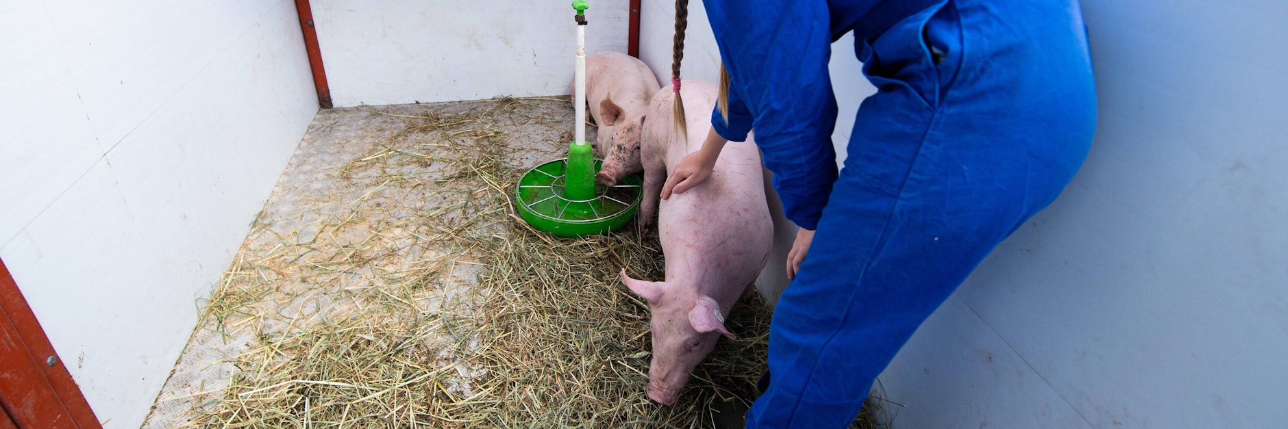 Demonstration von Tierschützern und Bauern am Tönnies Hauptwerk