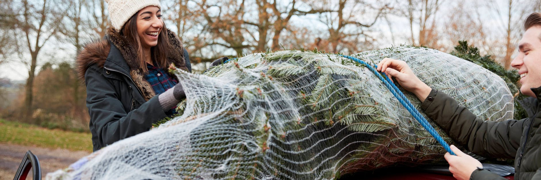 Eine bequeme Methode für den Weihnachtsbaum-Transport: das Auto. 