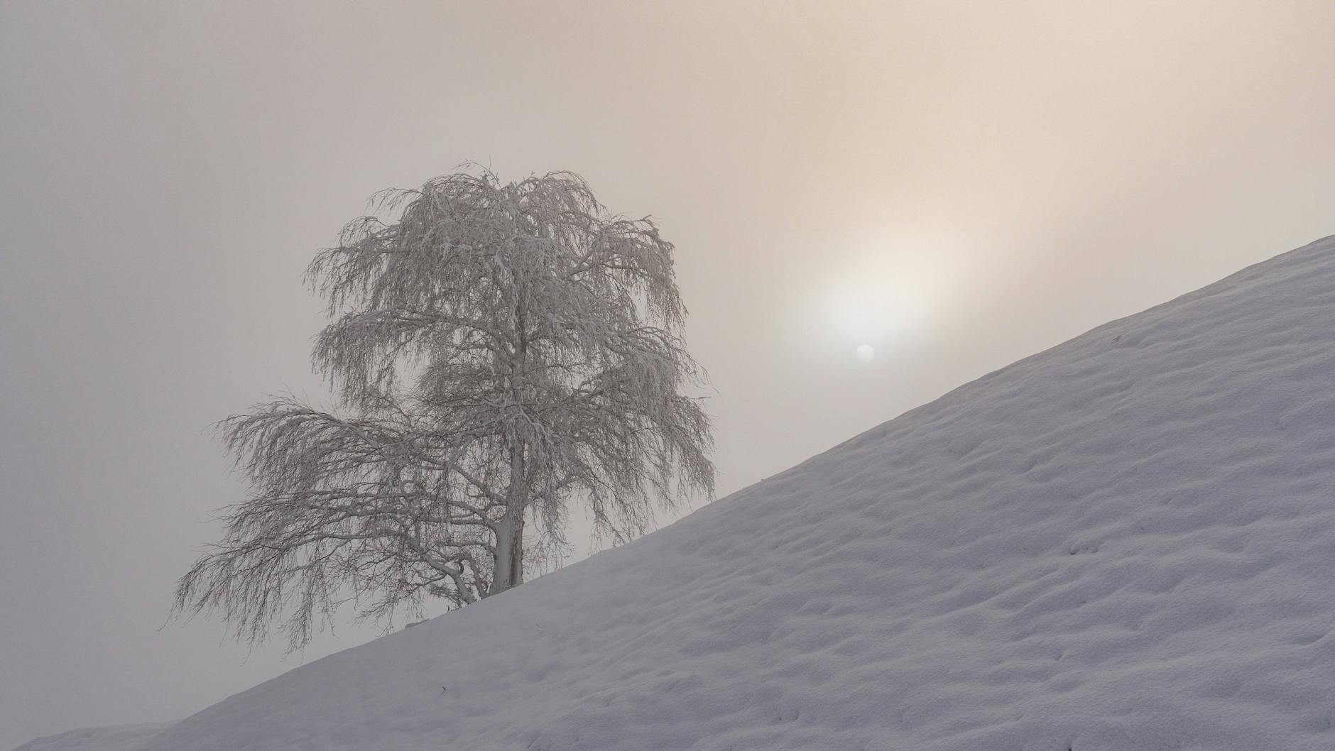 Solche Winterlandschaft kann ihre Tücken haben.